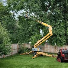 Best Lawn Irrigation Installation and Maintenance  in San Rafael, NM