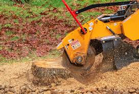 Best Soil Testing and Treatment  in San Rafael, NM